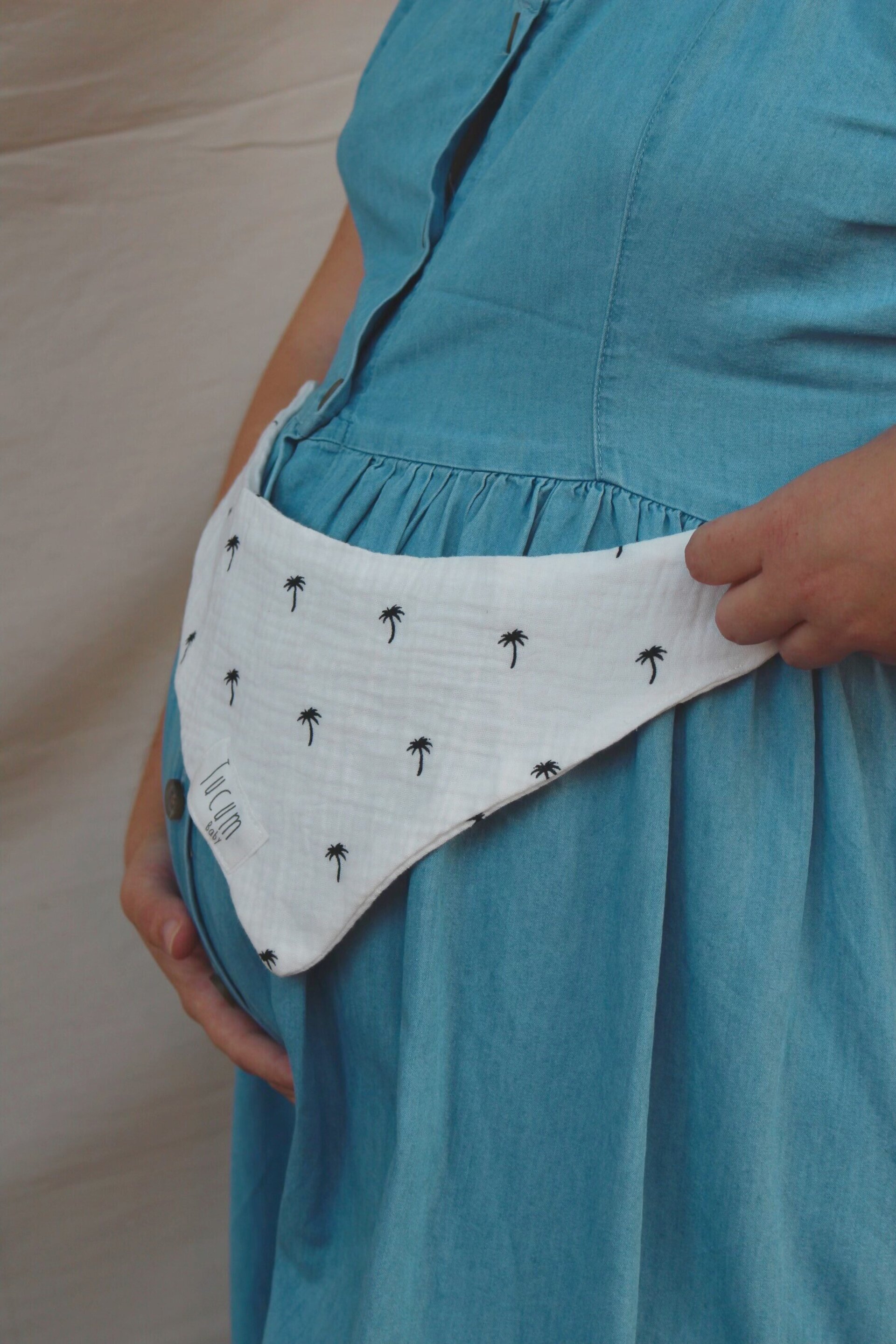 Babero Palm Springs - 4